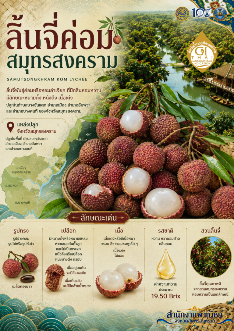 สำนักงานพาณิชย์จังหวัดสมุทรสงคราม × สำนักงานสาธารณสุขจังหวัดสมุทรสงคราม ร่วมประชาสัมพันธ์ลิ้นจี่ค่อมสมุทรสงคราม GI ประจำปี พ.ศ. 2568–2570
