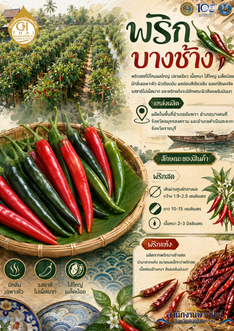 สำนักงานพาณิชย์จังหวัดสมุทรสงคราม × สำนักงานสาธารณสุขจังหวัดสมุทรสงคราม ร่วมประชาสัมพันธ์ “พริกบางช้าง” สินค้า GI อัตลักษณ์ท้องถิ่น