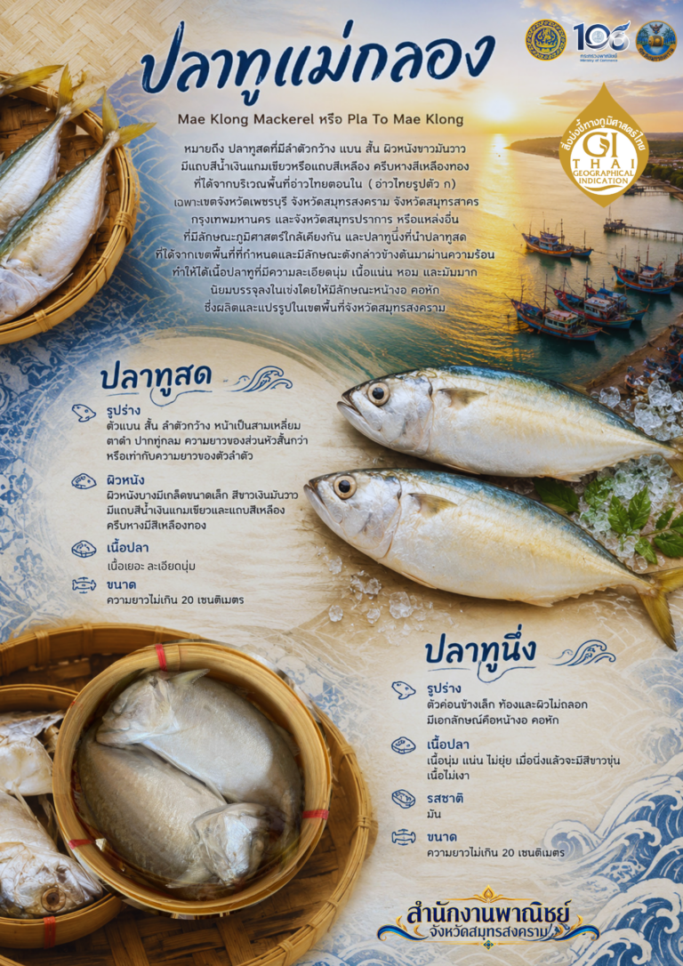 สำนักงานพาณิชย์จังหวัดสมุทรสงคราม × สำนักงานสาธารณสุขจังหวัดสมุทรสงคราม ร่วมประชาสัมพันธ์รายชื่อผู้ได้รับอนุญาตใช้ตราสัญลักษณ์ GI ปลาทูแม่กลอง ปี พ.ศ. 2569–2571